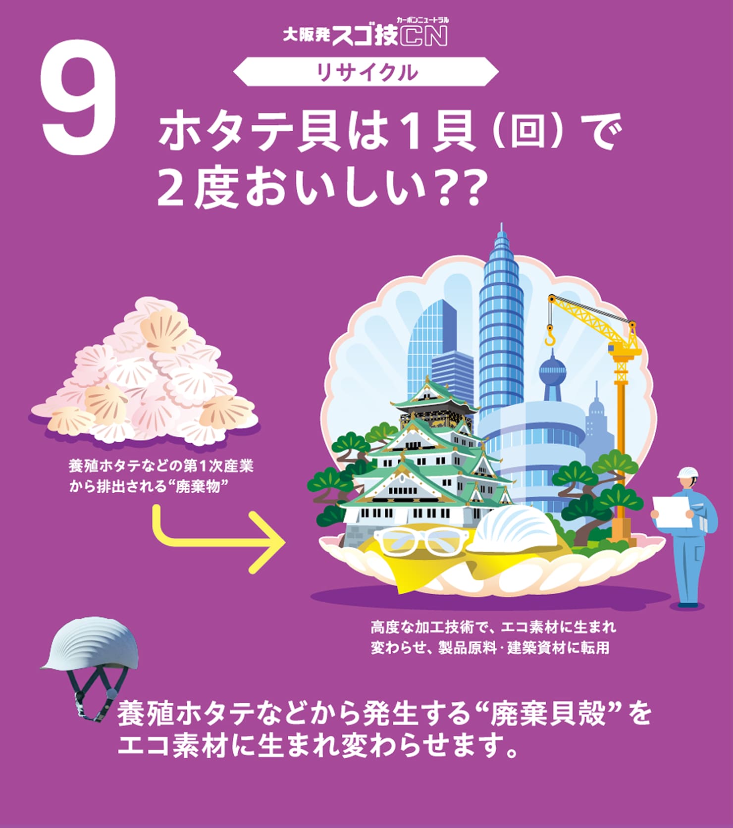 9 ホタテ貝は1貝（回）で2度おいしい??