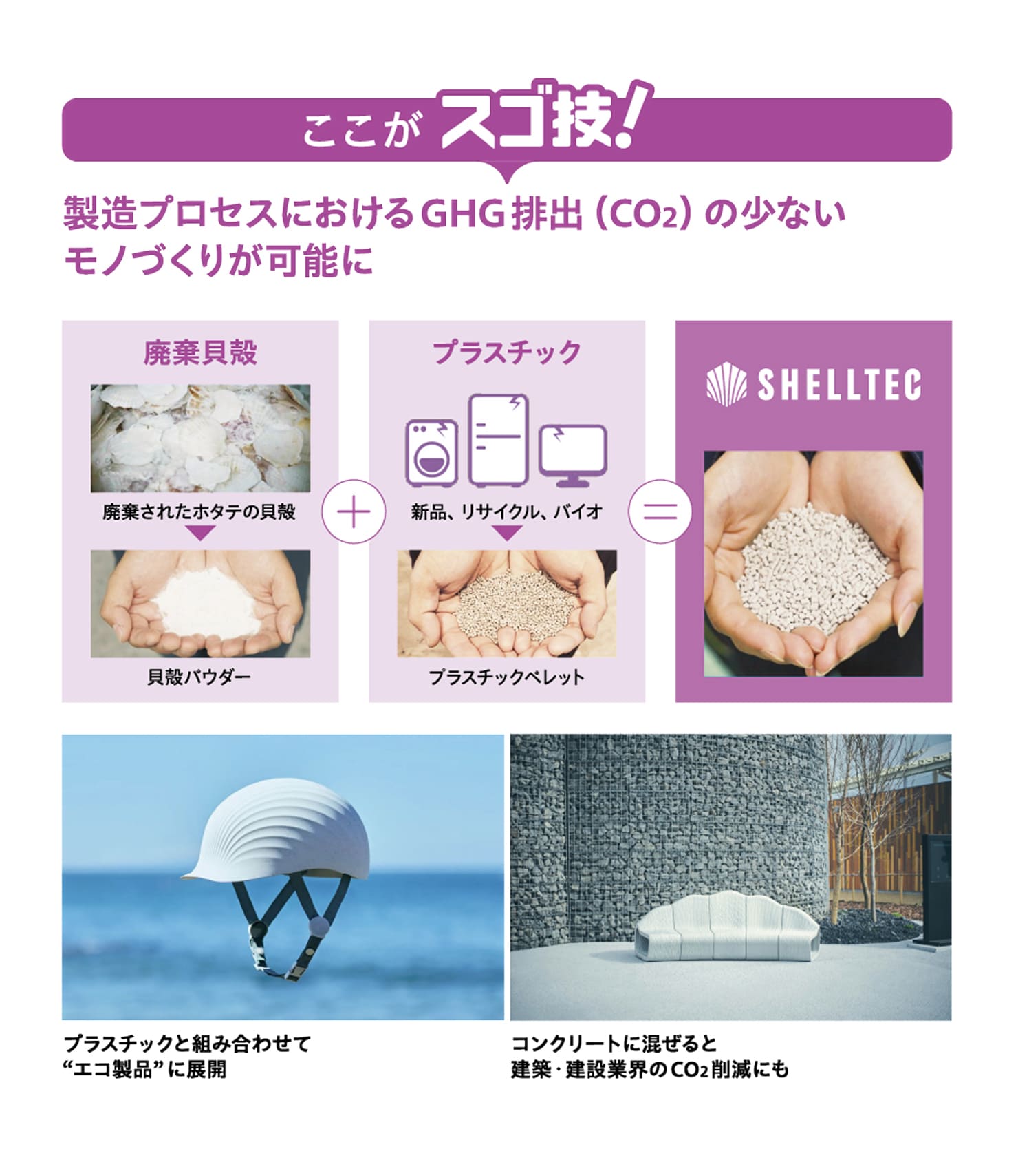 9 ホタテ貝は1貝（回）で2度おいしい??